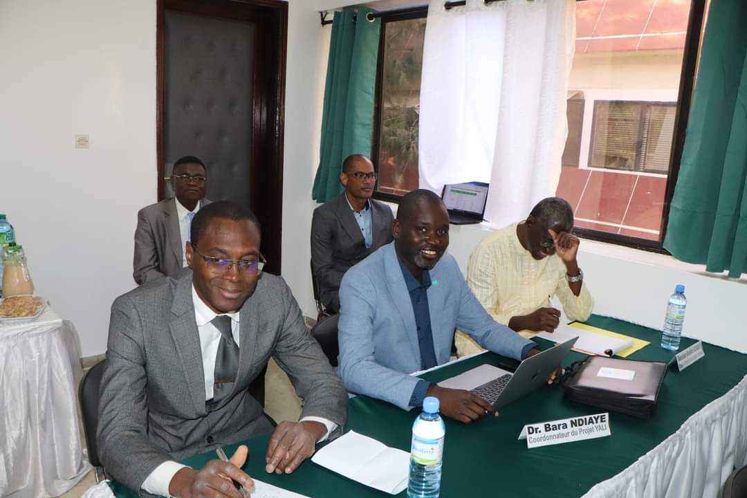 Candidature des sessions en ligne du Centre Régional de Leadership YALI – Dakar