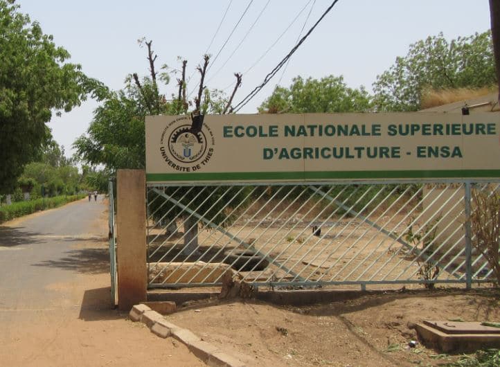 ENSA recrute 01 assistante à la scolarité H/F