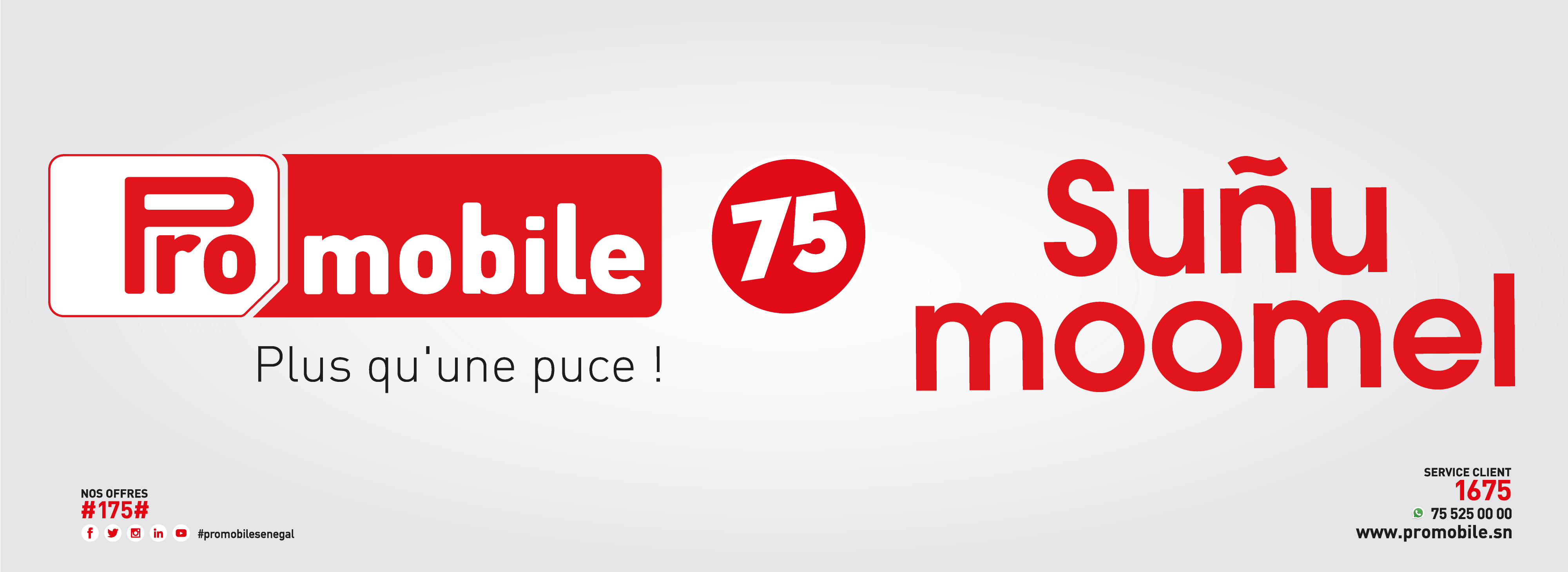 Promobile recrute 01 ingénieur(e) système et réseaux