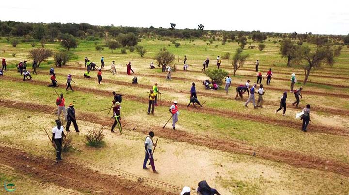 Agence Sénégalaise de la Reforestation et de la Grande Muraille Verte (ASERGMV) recrute (07) Profils
