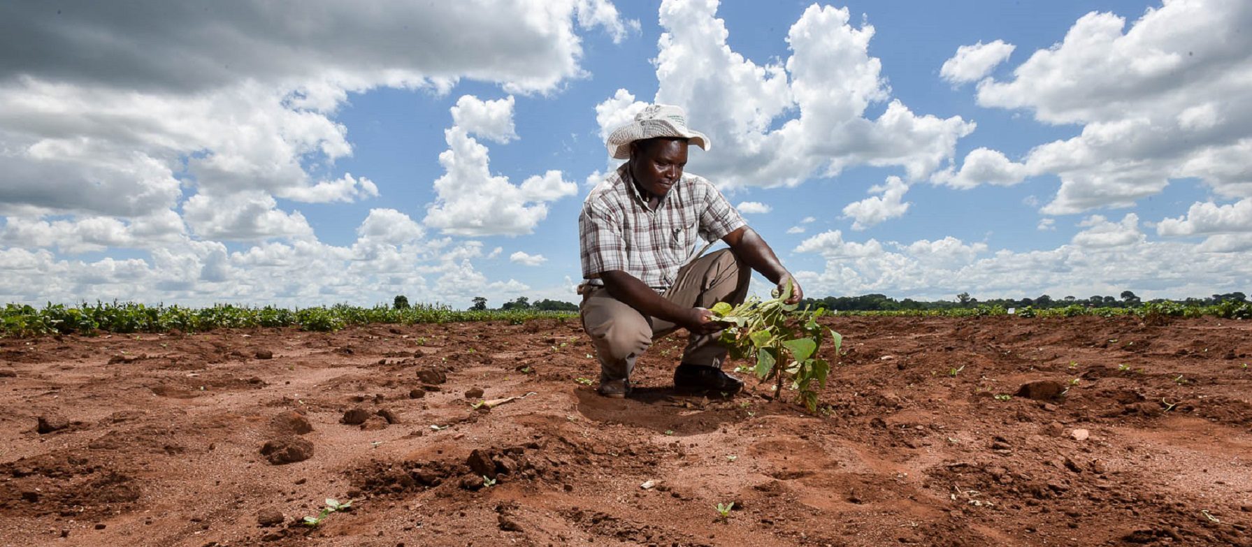 Lysa & Co, entreprise spécialisée dans la transformation de produits agricoles au Sénégal recherche d'un Directeur Général Adjoint