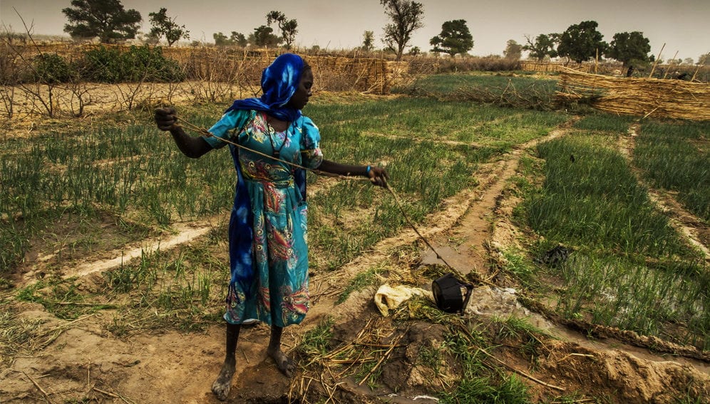 Rejoignez l'ONG LVIA en tant que Coordinateur.trice de Projets Environnementaux et Contribuez à un Avenir Durable au Sénégal
