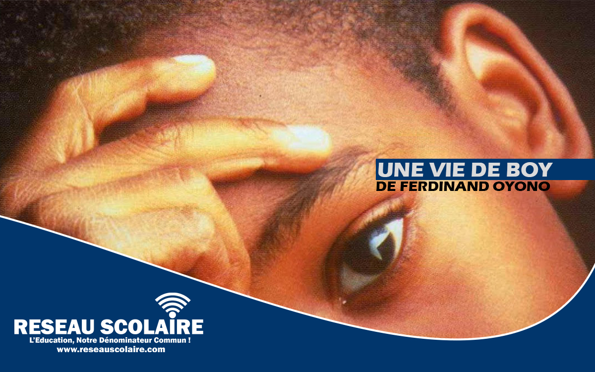 Résumé complet du roman  " UNE VIE DE BOY" DE Ferdinand OYONO