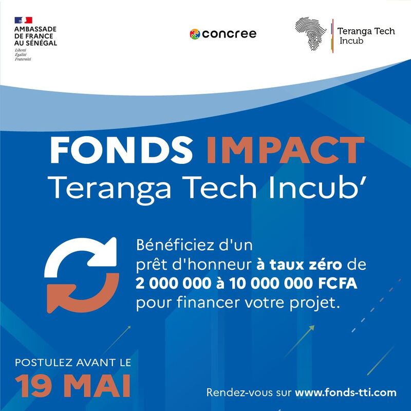 Teranga Tech Incub (TTI) : Financement et Accompagnement des Entrepreneurs Sénégalais Axés sur l'Impact Social et Environnemental Positif