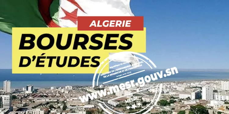 Bourse : La République Algérienne Démocratique et Populaire offre deux (02) bourses d'études en Master professionnel, au titre de l'année académique 2024-2025