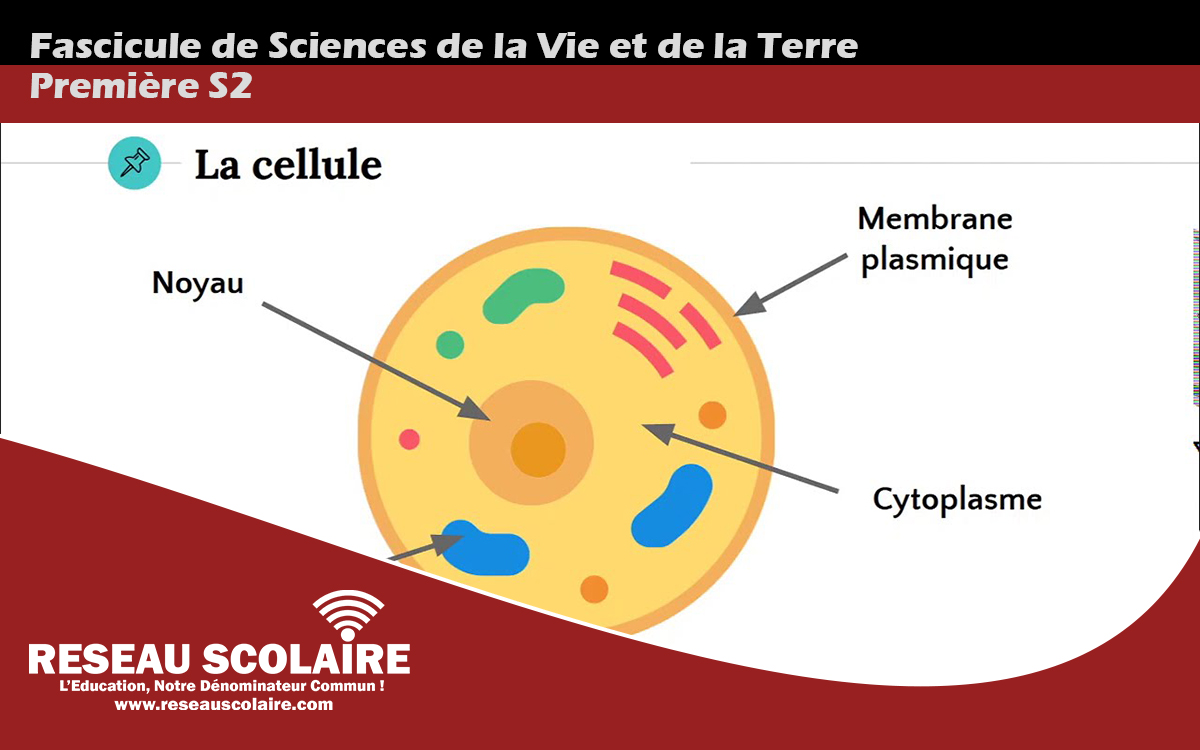 Fascicule de Sciences de la Vie et de la Terre – Première S2