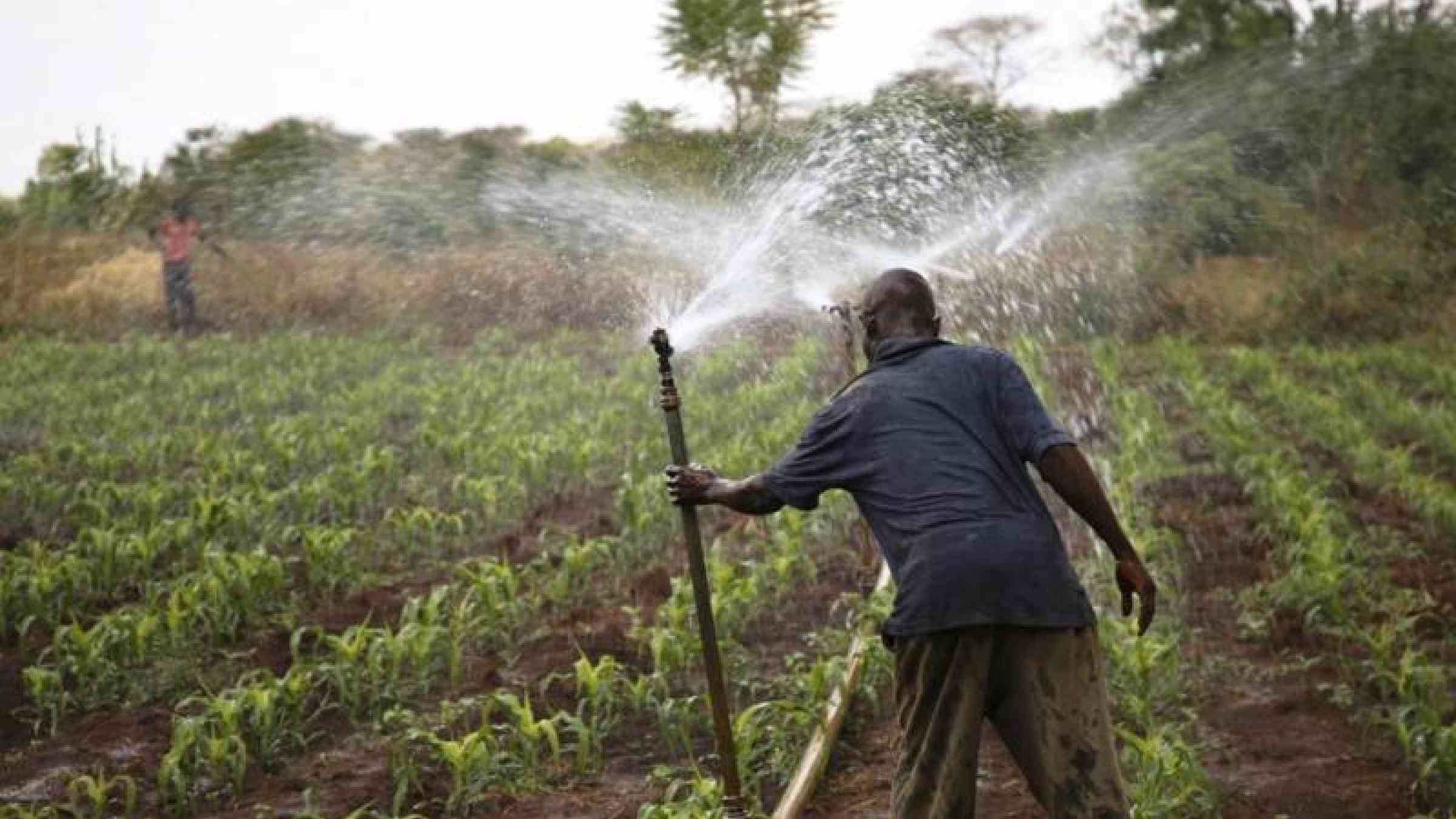 Ferme Sotilma recrute un(e) stagiaire technicien(ne) en systèmes d'irrigation